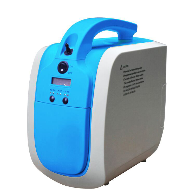 5L Pulse Flow Portable Oxygen Concentrator Built-in na Baterya